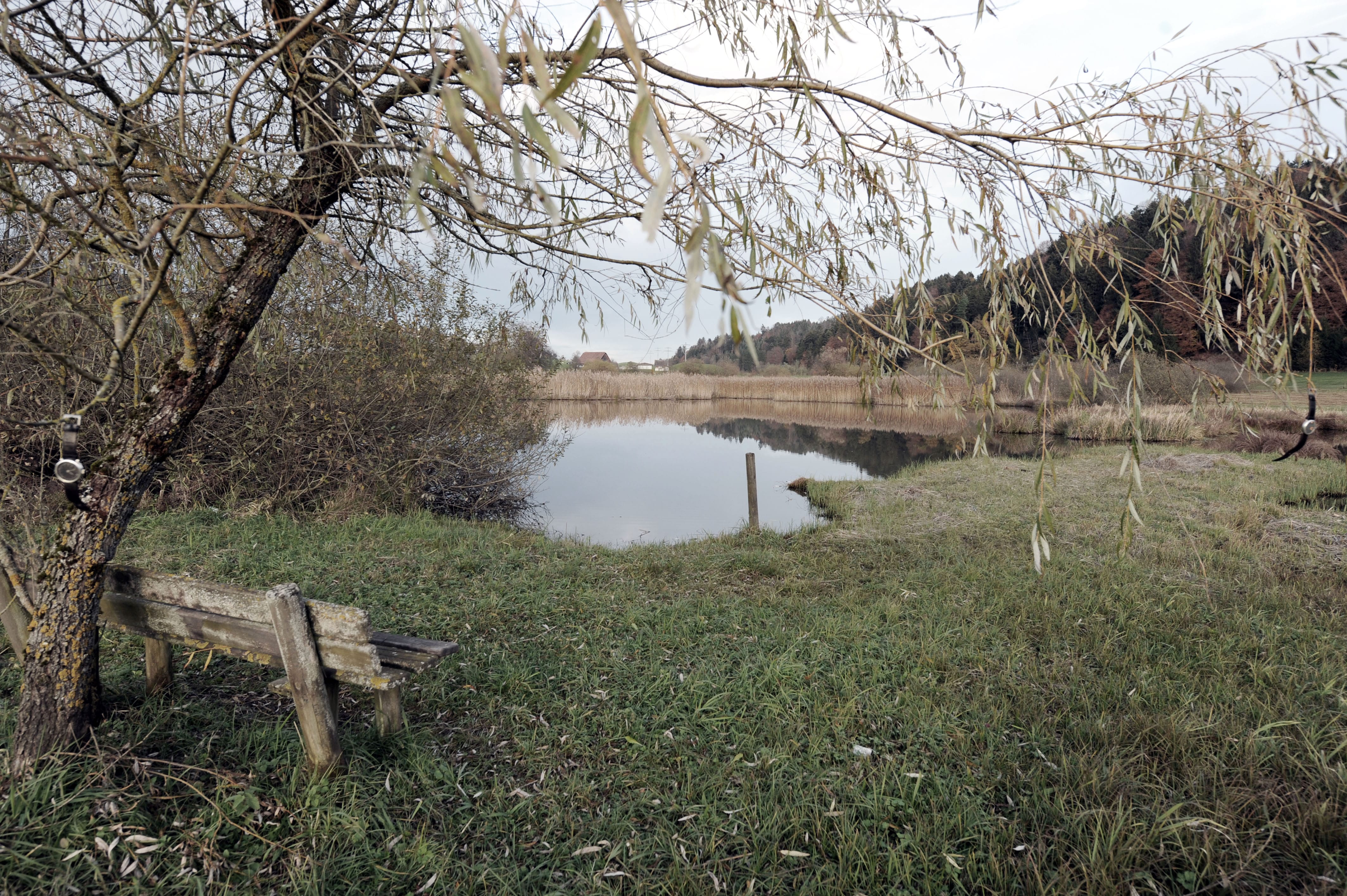 BEA_5230-blog
