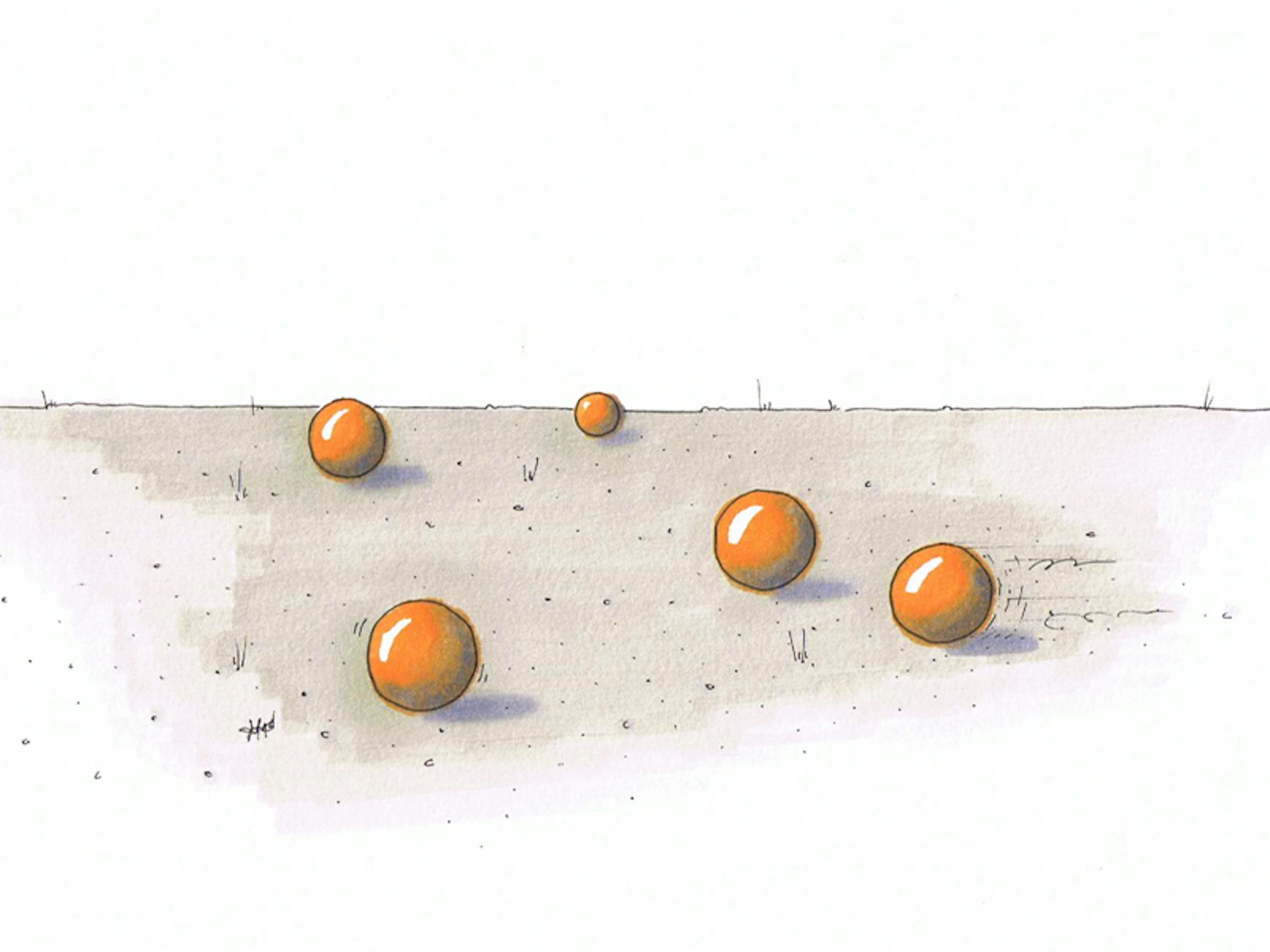 orange_murmeln-blog